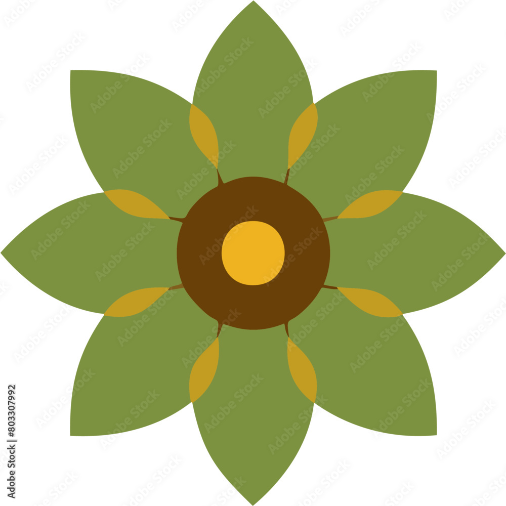sunflower isolated on white sunflower isolated on white