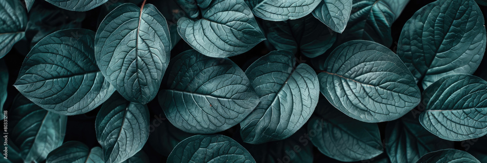 Abstract background with green leaves. Natural background. Abstract background with green leaves. Natural background.