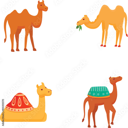 Camel icons set cartoon vector. Different type of cartoon camel. Desert animal