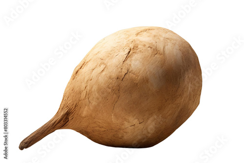 A large, brown, wrinkled, and wrinkled root vegetable, white background, transparent background photo