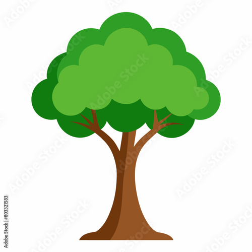 Tree Illustration