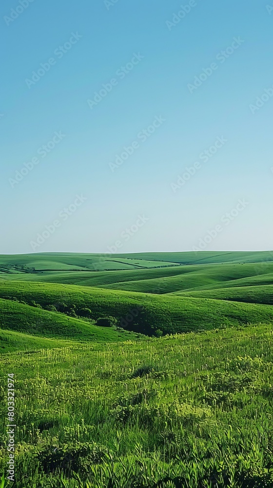 Green rolling hills under blue sky