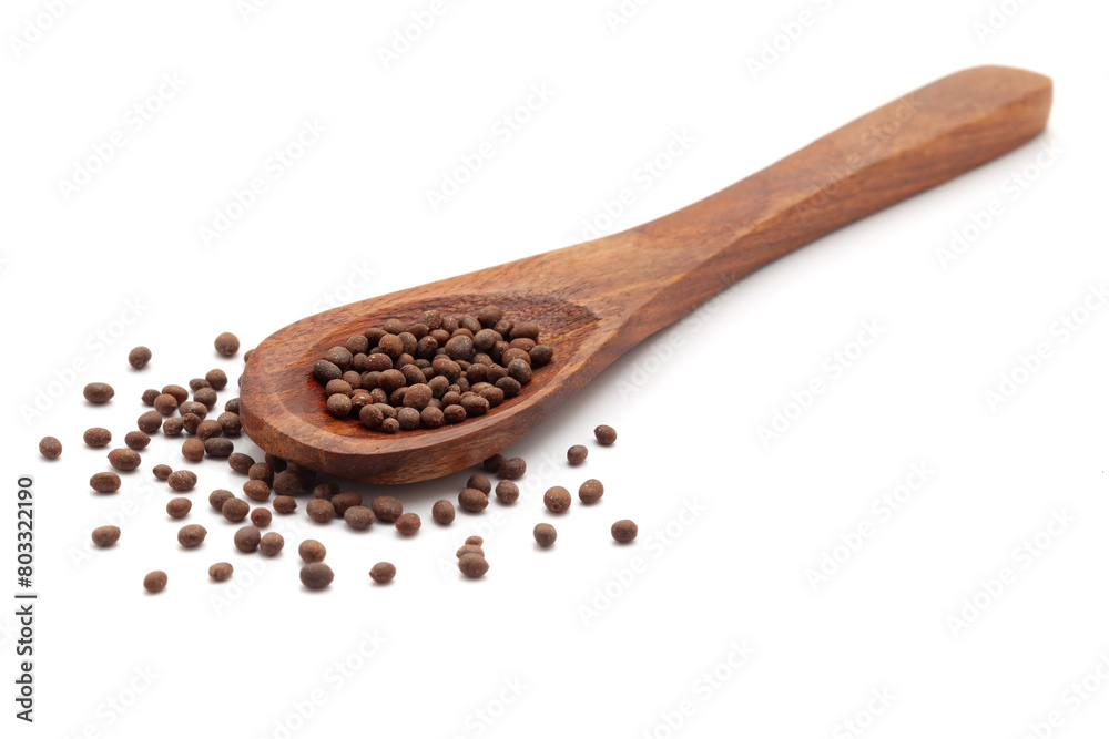 Front view of a wooden spoon filled with Organic Balsam (Impatiens balsamina) seeds. Isolated on a white background. Front view of a wooden spoon filled with Organic Balsam (Impatiens balsamina) seeds. Isolated on a white background.