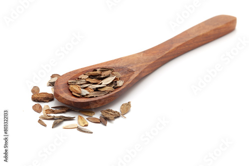 Front view of a wooden spoon filled with Organic zinnia (Zinnia elegans) seeds. Isolated on a white background. photo