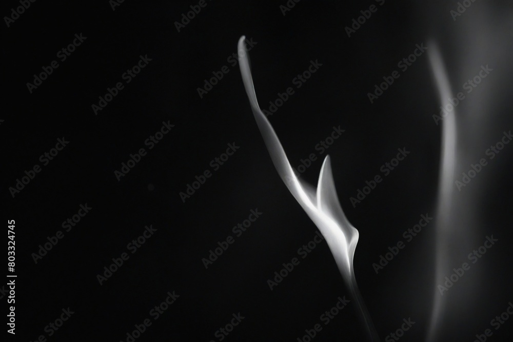 Fototapeta premium smoke on black background