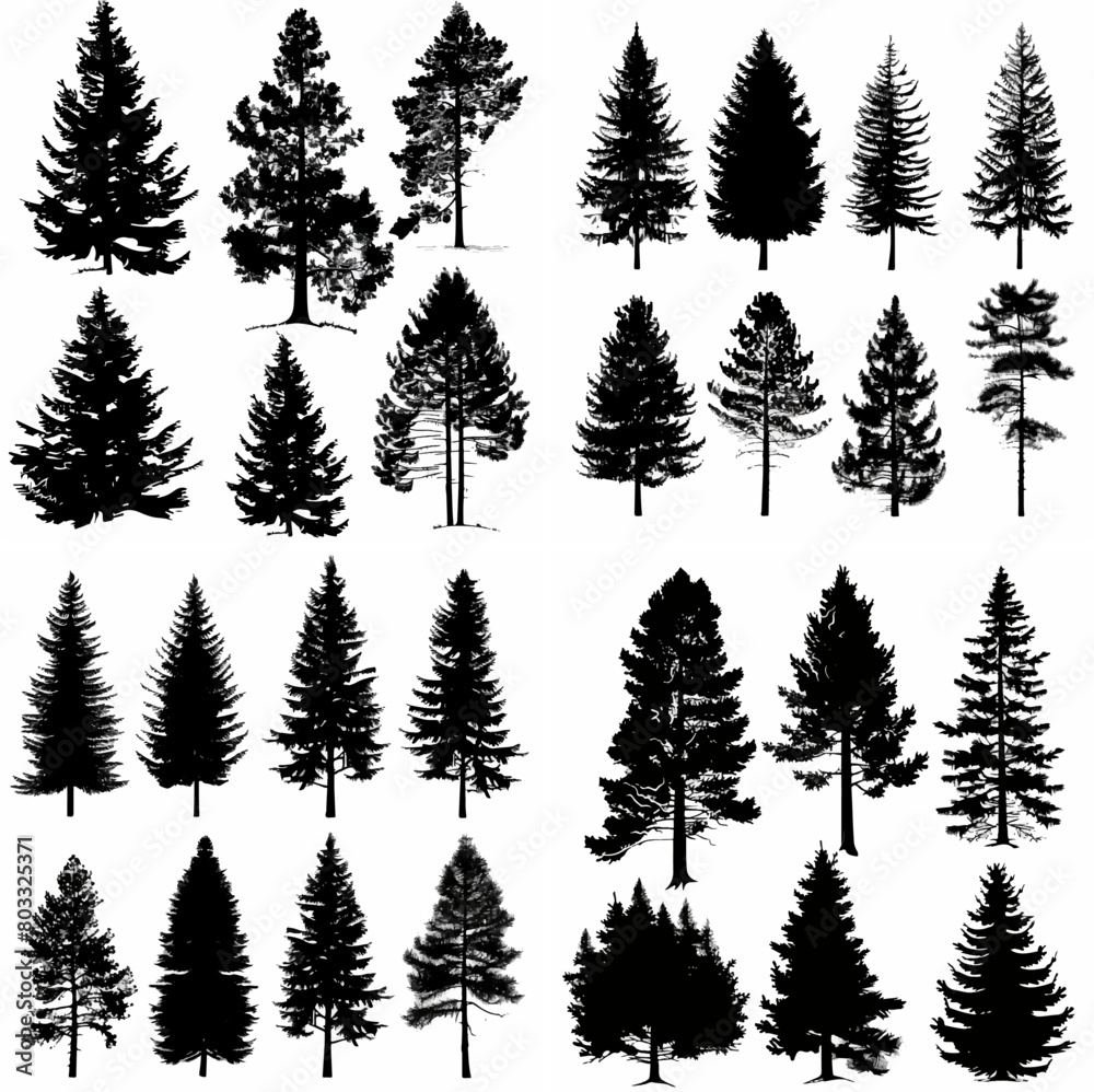 black tree silhouette set pure badge eco outline recreation breath emblem label protection graphic pine trunk woodland black tree silhouette set pure badge eco outline recreation breath emblem label protection graphic pine trunk woodland