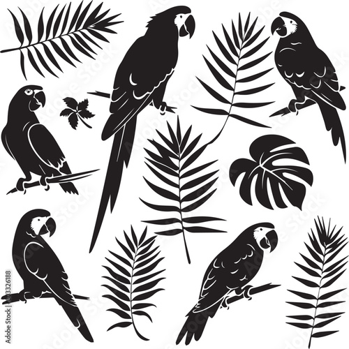 set of parrots