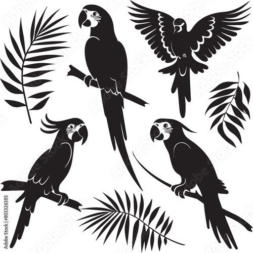 set of parrots