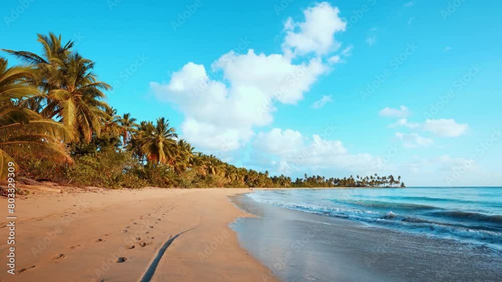 Summer landscape of sky and Hawaiian beach. Palm trees on an island on a sunny summer day in the Atlantic Ocean. Big white waves lie on a wild beach with yellow sand. Summer landscape of sky and Hawaiian beach. Palm trees on an island on a sunny summer day in the Atlantic Ocean. Big white waves lie on a wild beach with yellow sand.