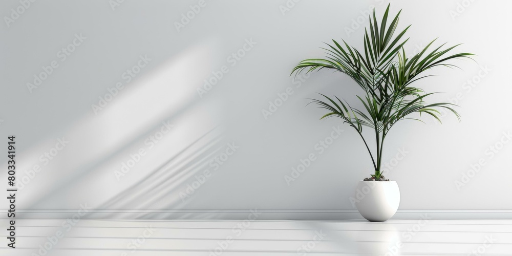 A potted plant sits in front of a white wall. A potted plant sits in front of a white wall.