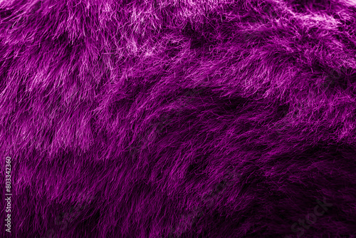 Obraz na płótnie magenta velour plush cloth textured background