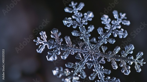 A detailed macro shot of a snowflake, capturing its intricate patterns and unique structure, placed against a dark, graduated studio background. © Shakeel,s Graphics