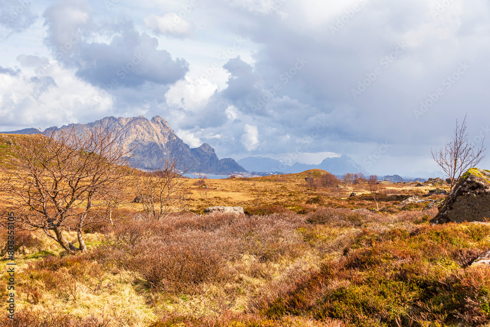 nature sceneries inside the area surroundings of Leknes, Lofoten Islands, Norway, during the spring season nature sceneries inside the area surroundings of Leknes, Lofoten Islands, Norway, during the spring season