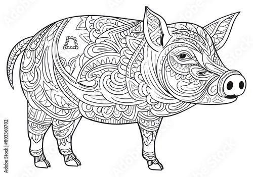 PNG Pig sketch drawing animal.