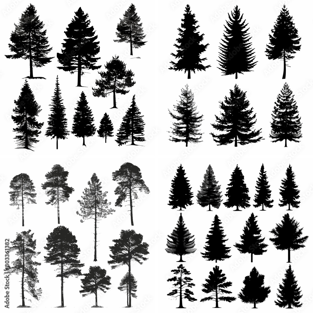 Obraz premium black tree silhouette set pure badge eco outline recreation breath emblem label protection graphic pine trunk woodland
