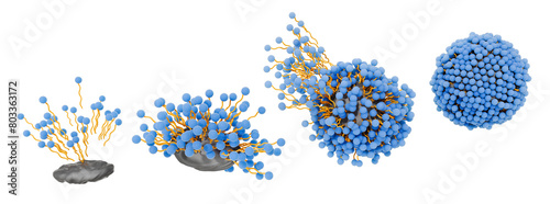 Soap molecules surrounding and capturing dirt forming a micelle structure. The hydrophobic tail is attracted to grease, oily substances and the hydrophilic head is attracted to water. 3d illustration photo