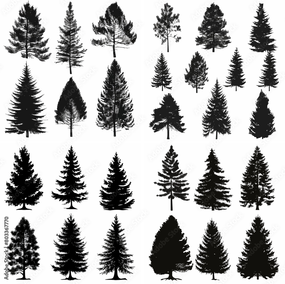 black tree silhouette set pure badge eco outline recreation breath emblem label protection graphic pine trunk woodland black tree silhouette set pure badge eco outline recreation breath emblem label protection graphic pine trunk woodland