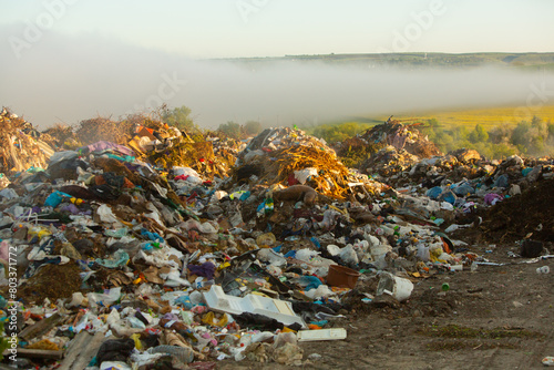 Pile of garbage in the forest. The concept of environmental pollution.