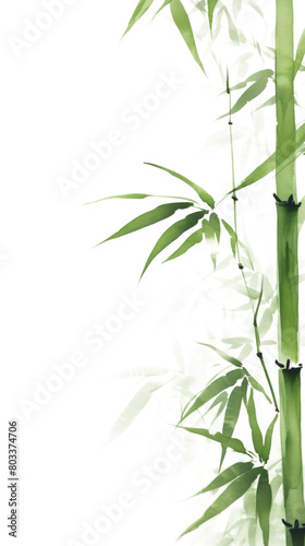 PNG  Bamboo leaves backgrounds plant branch.