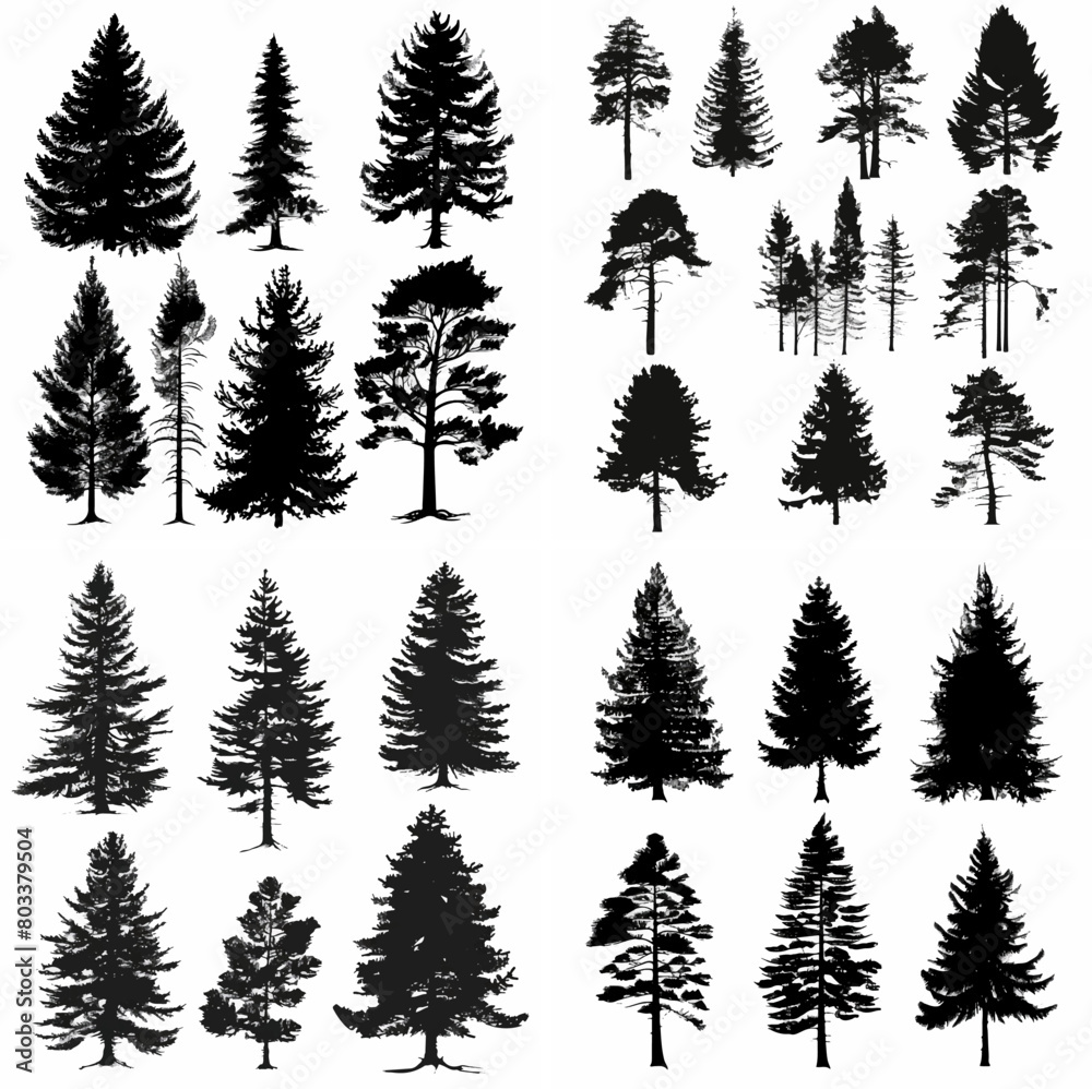 Obraz premium black tree silhouette set pure badge eco outline recreation breath emblem label protection graphic pine trunk woodland