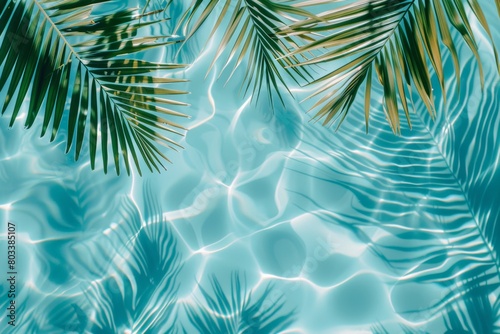 Palm Tree in Pool