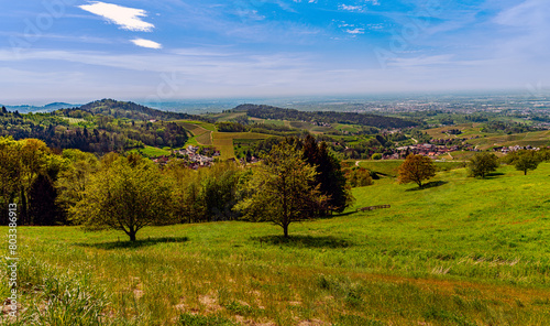 View from Sasbachwalden over the Rhine valley_Baden Wuerttemberg, Germany. photo