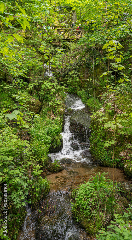 The Gaishöll waterfalls near Sasbachwalden in the Black Forest. Baden Wuerttemberg, Germany, Europe.