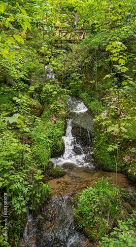 The Gaish  ll waterfalls near Sasbachwalden in the Black Forest. Baden Wuerttemberg  Germany  Europe.