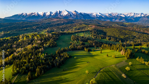 Obraz na płótnie Tatry Zielone Pola Wiosna w salonie