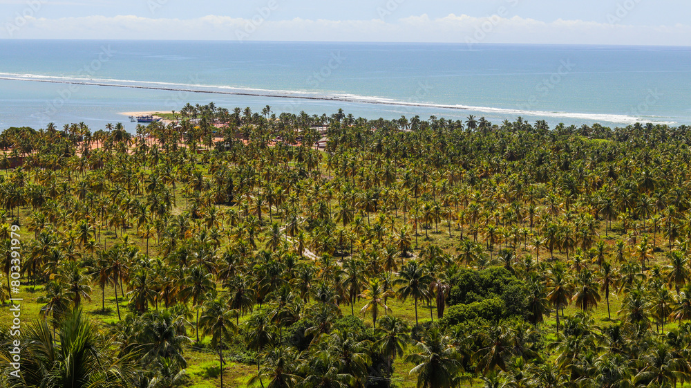 Visão aérea da praia do gunga no nordeste brasileiro em alagoas, br Visão aérea da praia do gunga no nordeste brasileiro em alagoas, br
