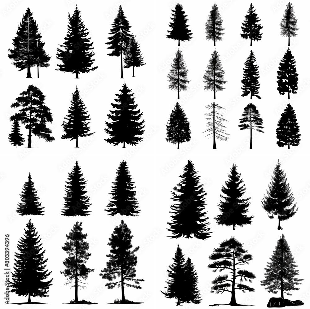 black tree silhouette set pure badge eco outline recreation breath emblem label protection graphic pine trunk woodland black tree silhouette set pure badge eco outline recreation breath emblem label protection graphic pine trunk woodland