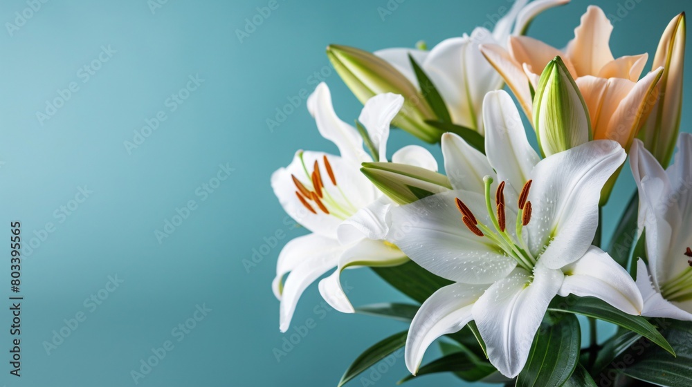 Fototapeta premium Flower on background, a picture of gorgeous color. Blossoming and vibrant, it's a wonderful floral display.