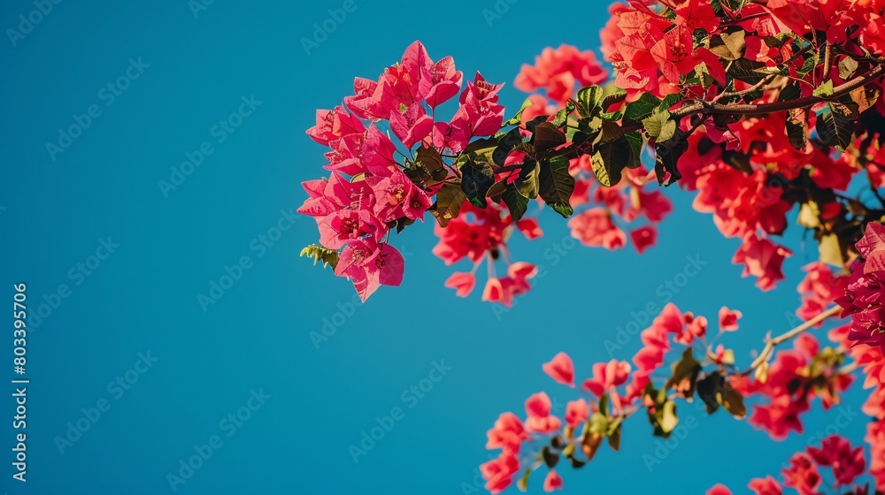 Flower on background, a picture of gorgeous brightness. Blossoming and vibrant, it's a wonderful natural wonder.
