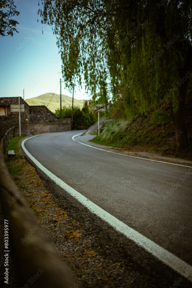 Fototapeta premium Road