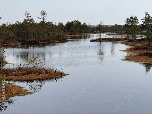 reflections in the water