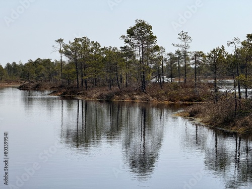 lake in the woods