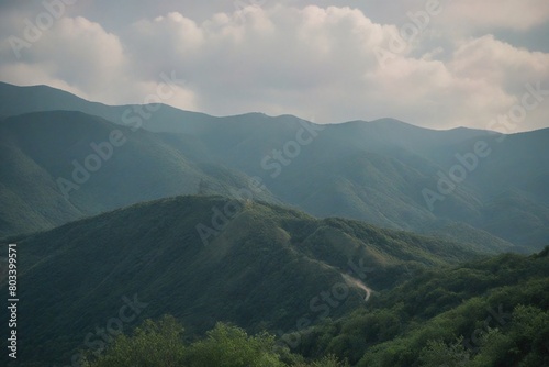 landscape with fog