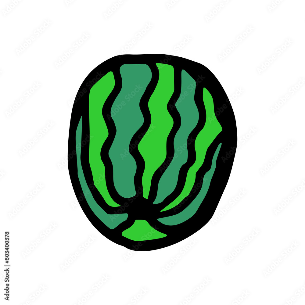 A drawing of a whole watermelon on a white background