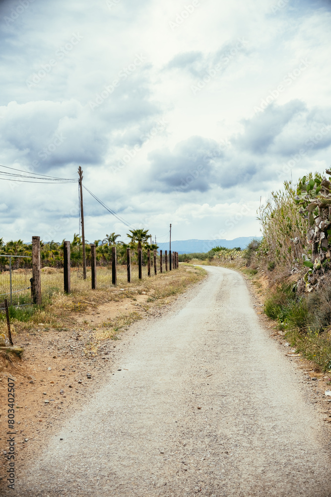 Paved rural road with vegetation and intense sky Paved rural road with vegetation and intense sky