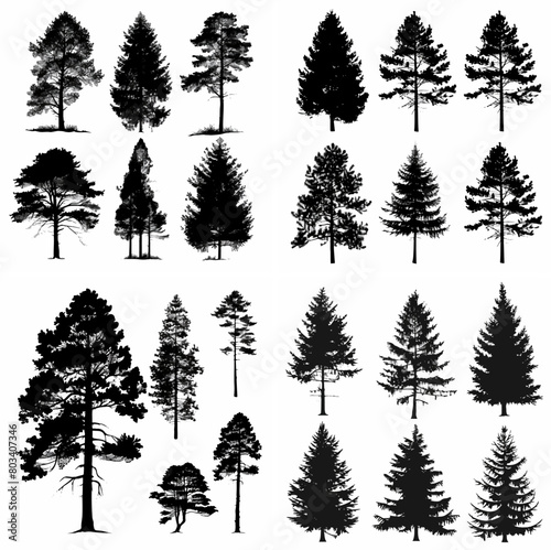 black tree silhouette set pure badge eco outline recreation breath emblem label protection graphic pine trunk woodland