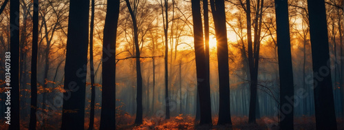 A new day begins, the forest illuminated by the first rays of sunrise, painting the sky with hues of warmth and hope. © xKas