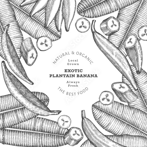 Hand drawn sketch style plantain banner. Organic fresh fruit vector illustration. Retro exotic banana fruit design template