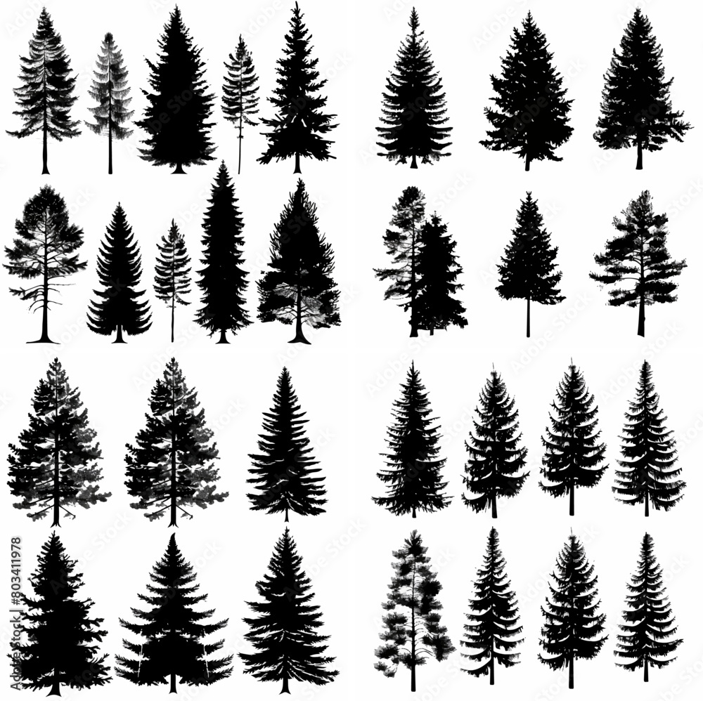 Obraz premium black tree silhouette set pure badge eco outline recreation breath emblem label protection graphic pine trunk woodland
