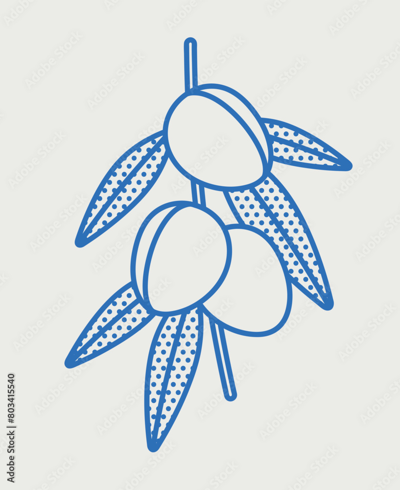 Almond branch. Line art, retro. Plants and herbs for cosmetics. Almond branch. Line art, retro. Plants and herbs for cosmetics.