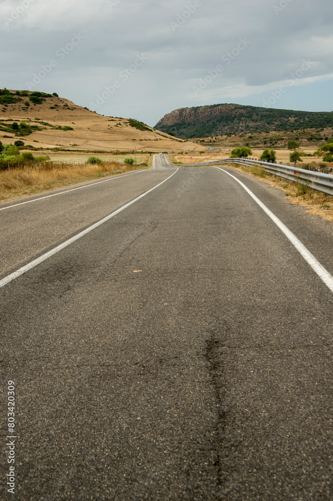 Road and Landscape of Planargia. Sassari, Alghero. Sardinia. Italy. Yellow landscape