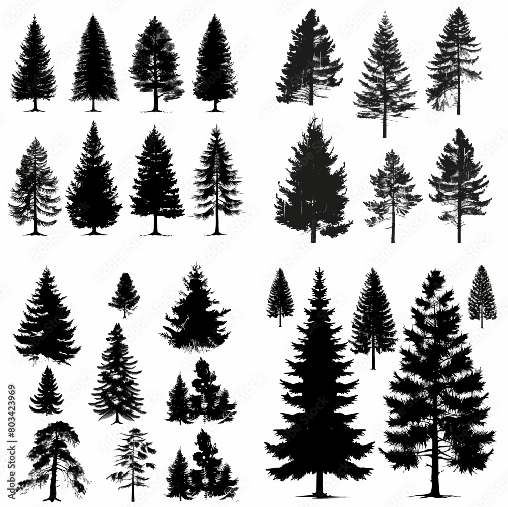 black tree silhouette set pure badge eco outline recreation breath emblem label protection graphic pine trunk woodland black tree silhouette set pure badge eco outline recreation breath emblem label protection graphic pine trunk woodland
