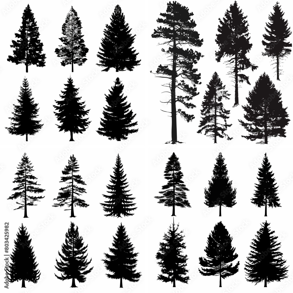 black tree silhouette set pure badge eco outline recreation breath emblem label protection graphic pine trunk woodland