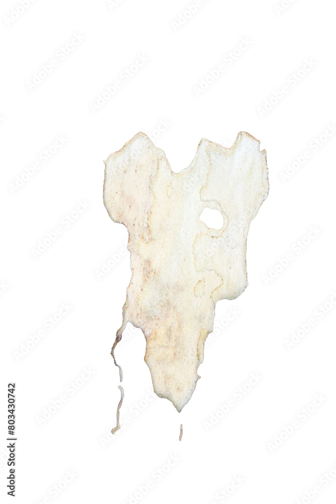 Obraz premium Moisture stains and plaster in poor condition, peeling paint