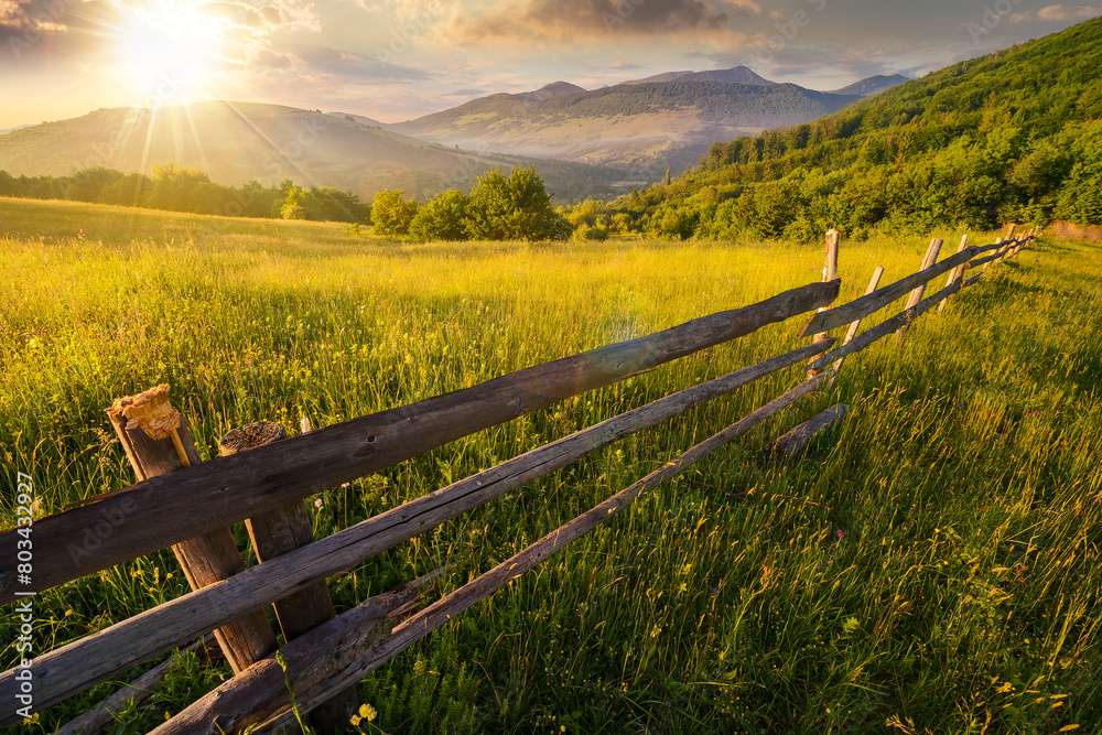 wooden fence across the grassy rural field at sunset. mountainous countryside scenery of ukraine in evening light