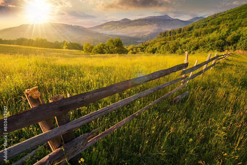 Fototapeta premium wooden fence across the grassy rural field at sunset. mountainous countryside scenery of ukraine in evening light